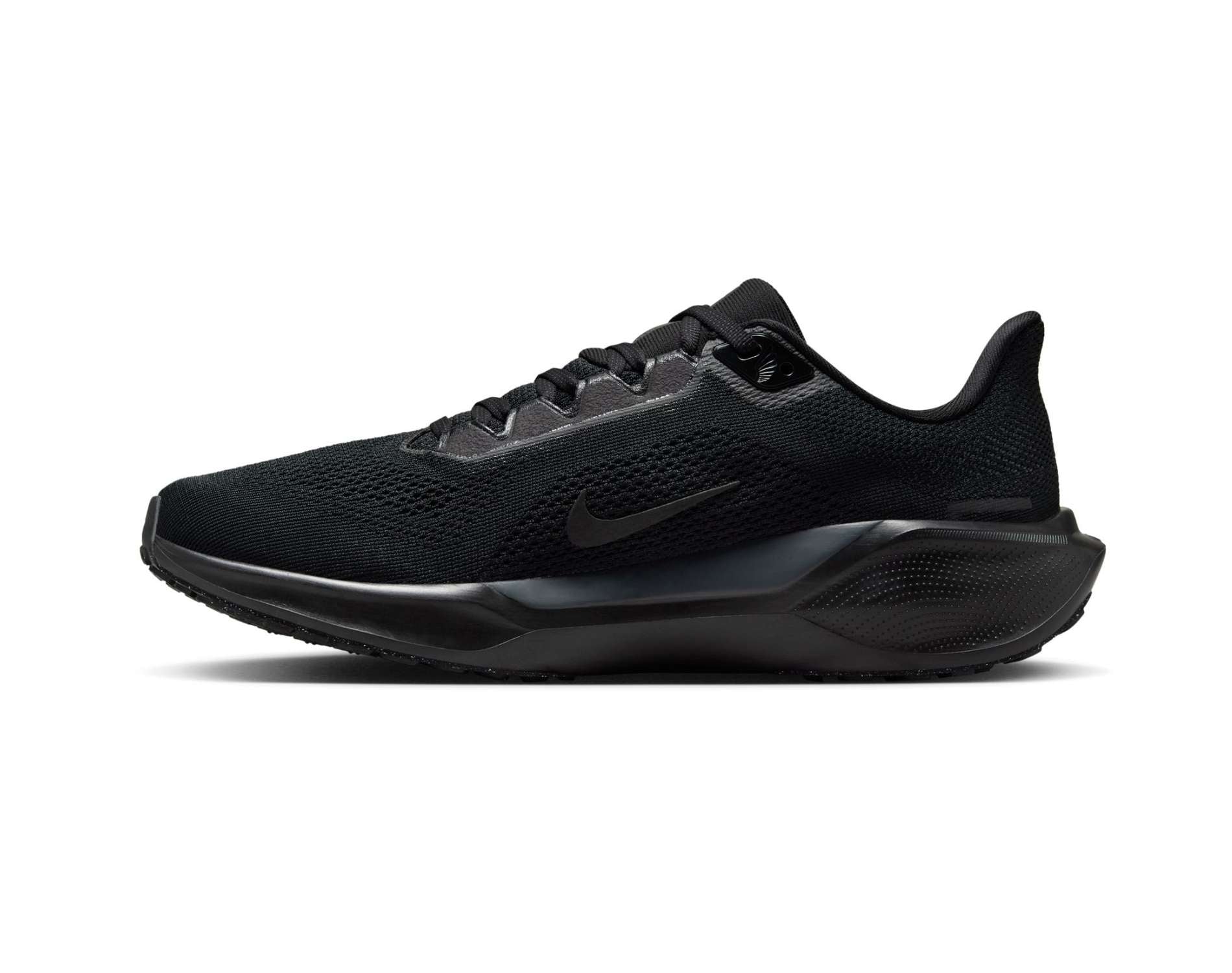 Chaussures de course pour femmes Nike Pegasus 41