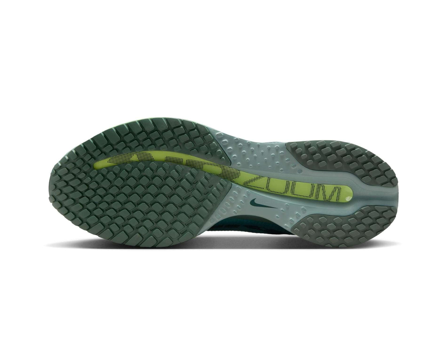 Chaussures de course pour hommes Nike Pegasus Premium