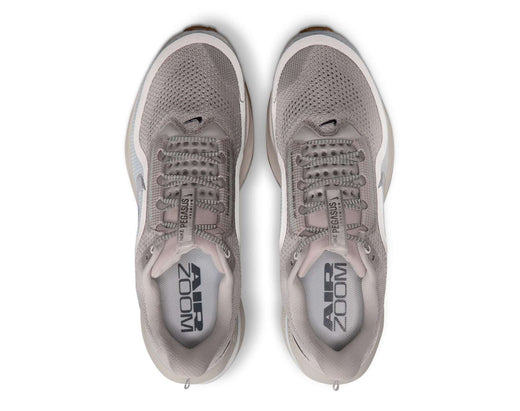Chaussures de course pour hommes Nike Pegasus Premium