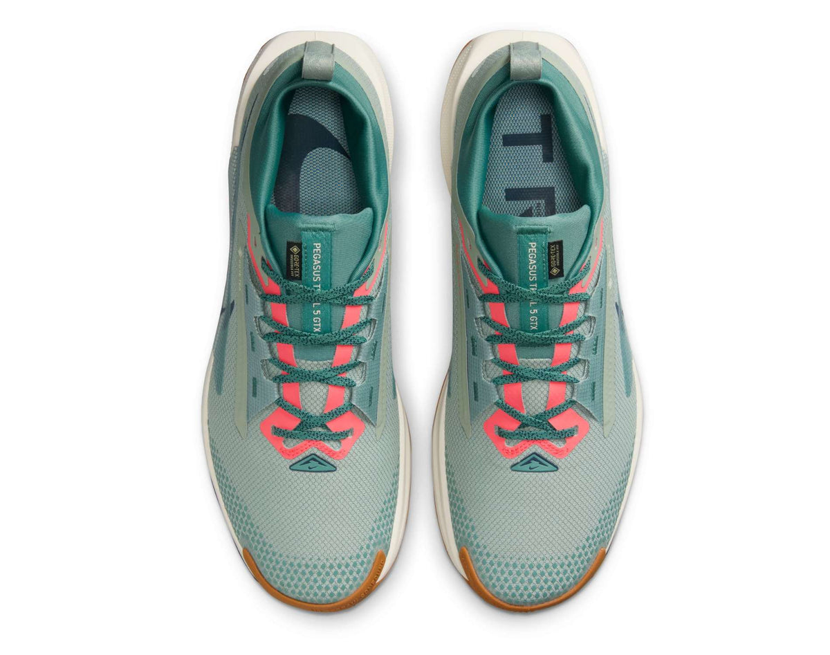 Chaussures de trail pour hommes Nike Pegasus Trail 5 GORE-TEX