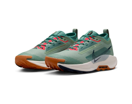 Chaussures de trail pour hommes Nike Pegasus Trail 5 GORE-TEX