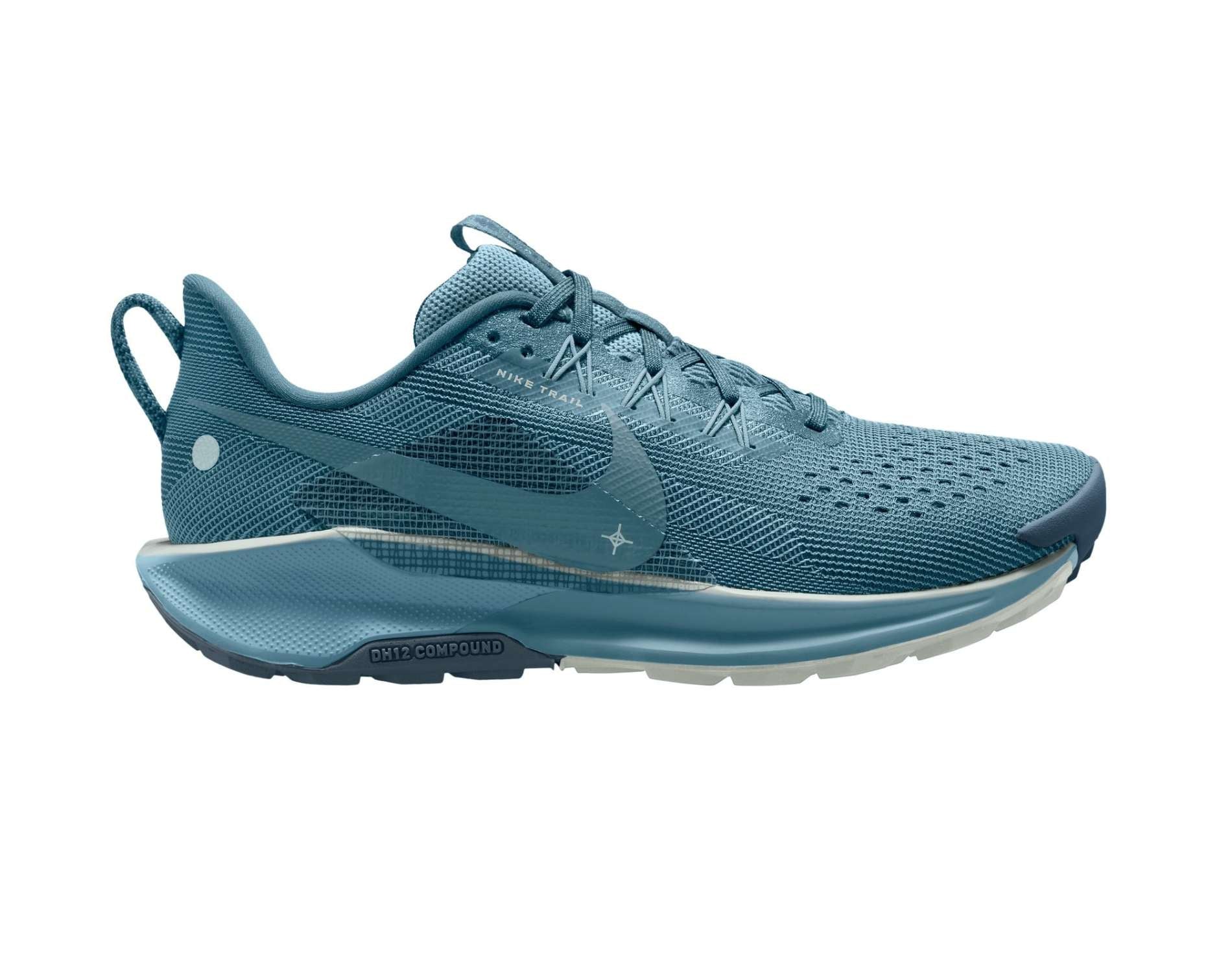 Chaussures de course Nike Pegasus Trail 5 pour hommes