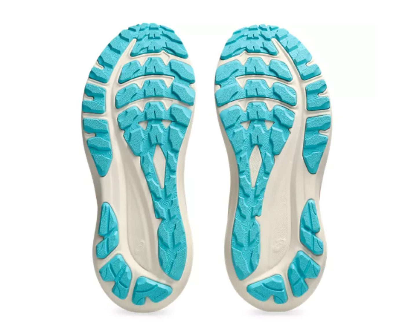 Asics GT-2000 13 TR Dames Trail Hardloopschoenen
