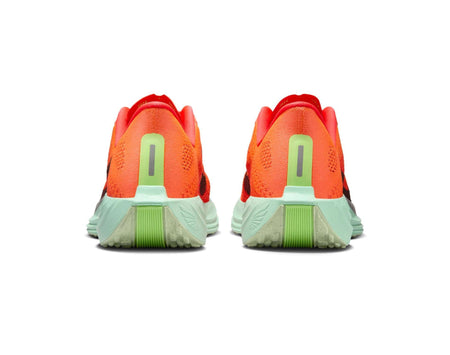Nike Pegasus Plus Damlöparskor