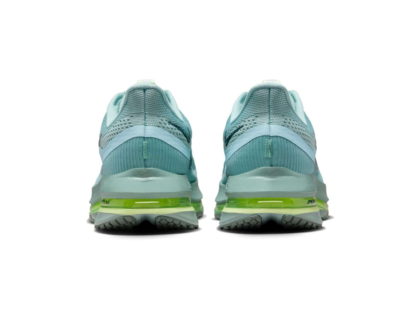 Chaussures de course pour hommes Nike Pegasus Premium