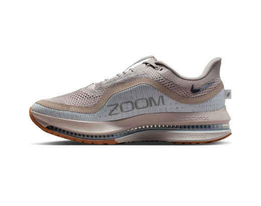 Chaussures de course pour hommes Nike Pegasus Premium