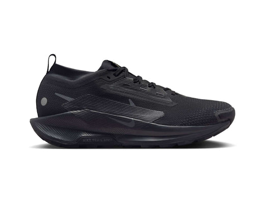 Chaussures de trail pour hommes Nike Pegasus Trail 5 GORE-TEX