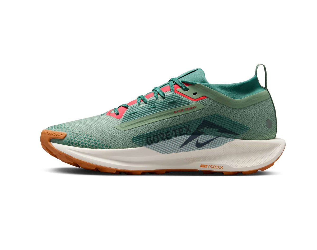 Chaussures de trail pour hommes Nike Pegasus Trail 5 GORE-TEX