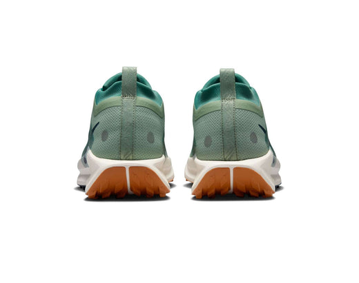 Chaussures de trail pour hommes Nike Pegasus Trail 5 GORE-TEX