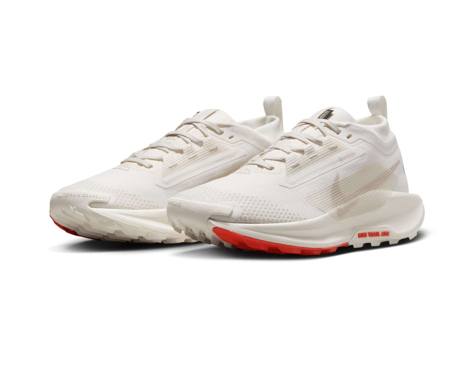 Nike Pegasus Trail 5 GORE-TEX Dam Terränglöparskor
