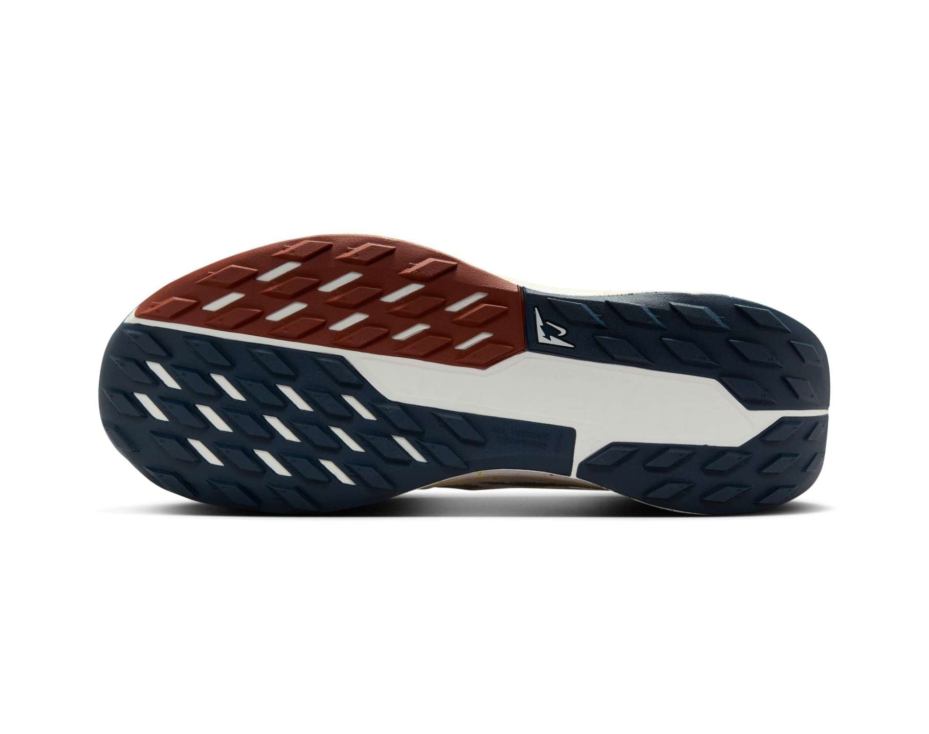 Chaussures de course Nike Pegasus Trail 5 pour hommes