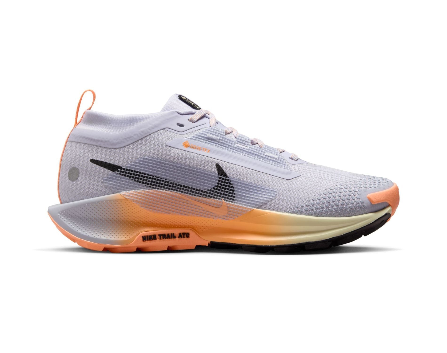 Chaussures de trail pour femmes Nike Pegasus Trail 5 GORE-TEX