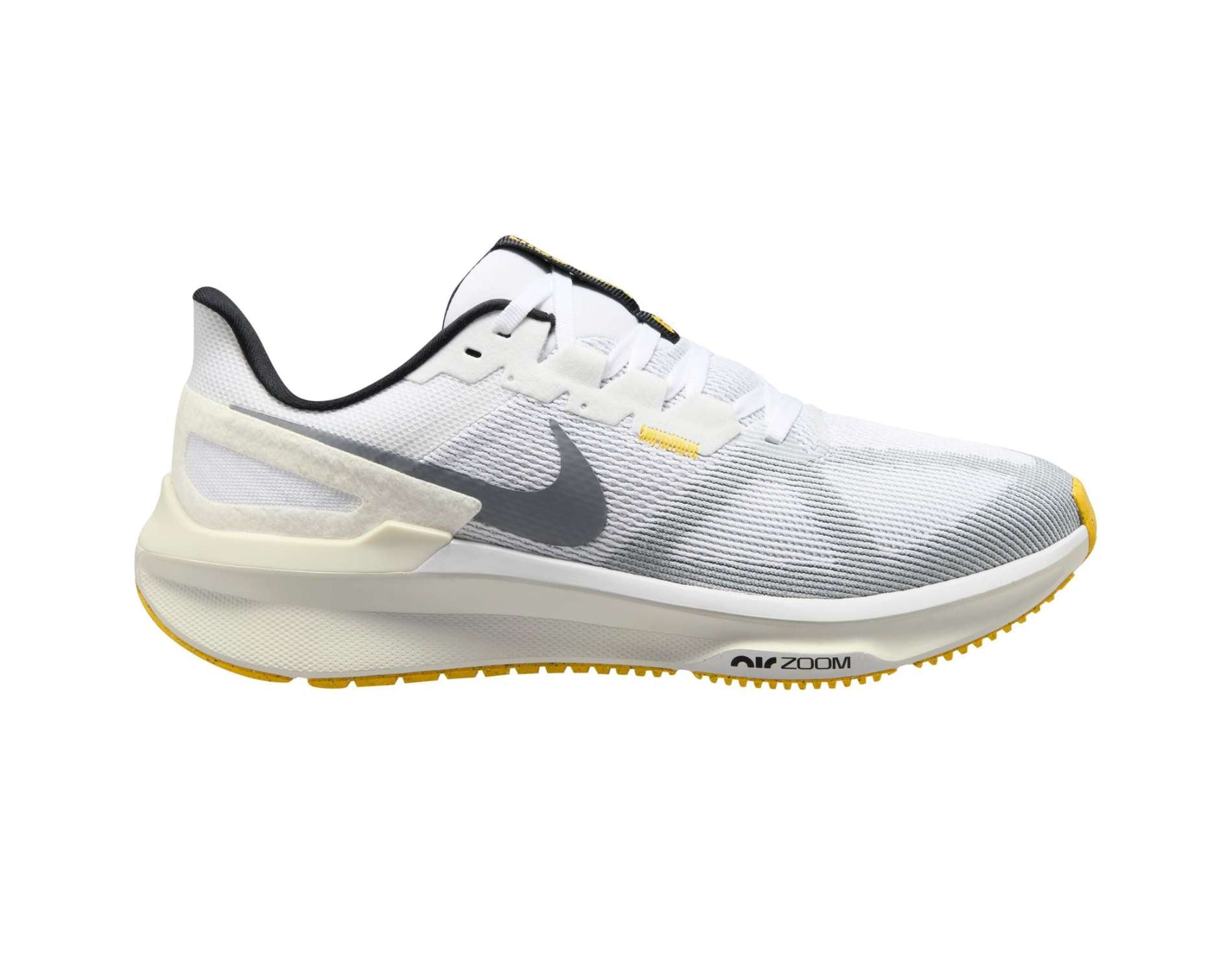 Nike Zoom Structure 25 pour hommes