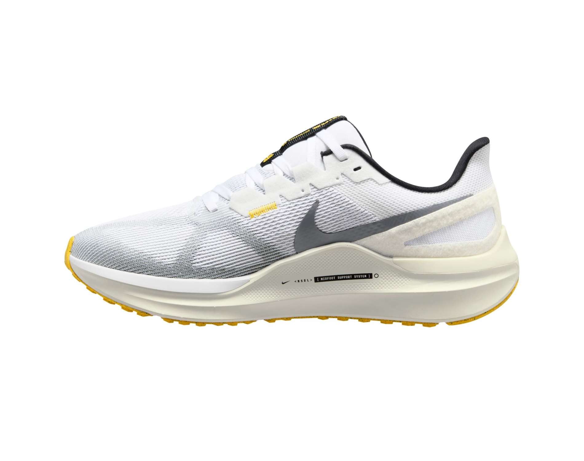Nike Zoom Structure 25 pour hommes
